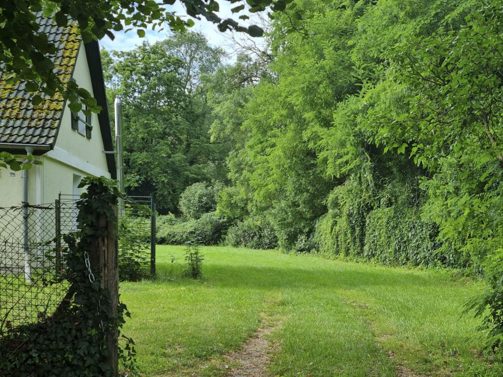 Einfahrt auf das Grundstück – links Westgiebel des Hauses, rechts angrenzender Schlosspark mit altem Baumbestand.