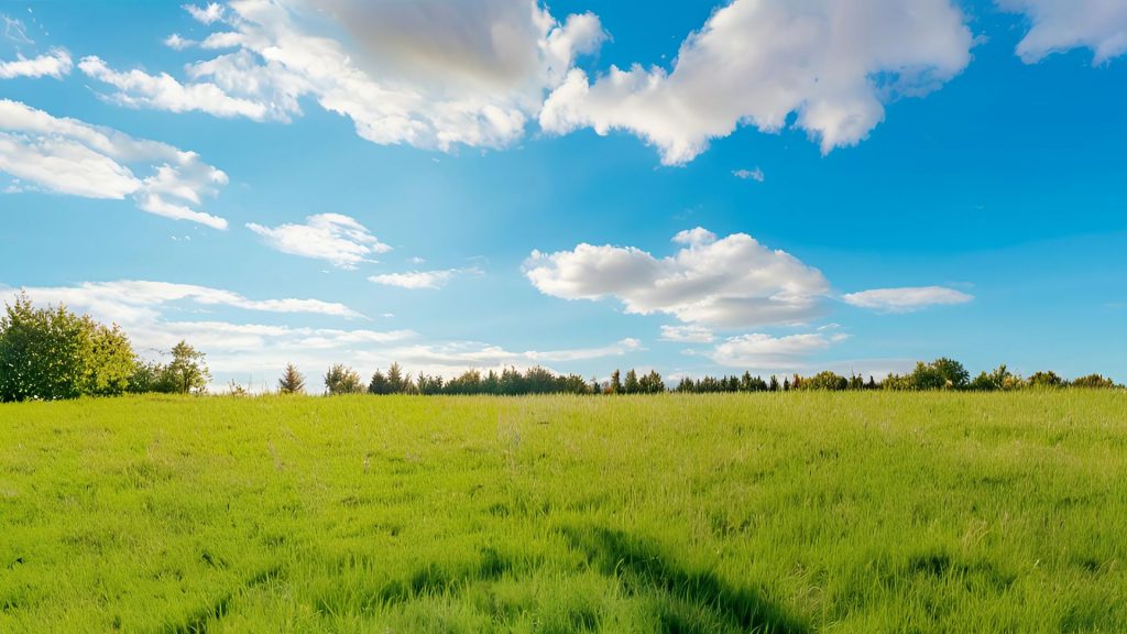 Naturpark Stettiner Haff: Endlose Haffwiesen (hier im Bild), naturbelassene Abschnitte der Haffküste und weite Waldgebiete.