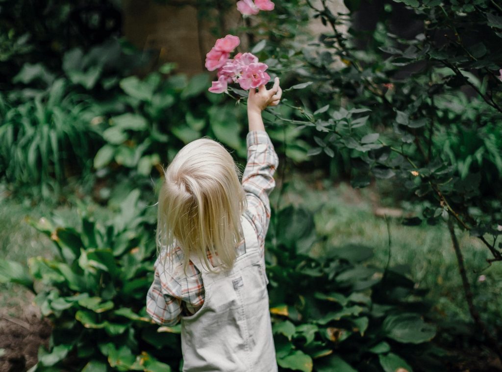Kind streckt sich nach Rosenblüten. In dem rundum umfriedeten Garten können auch Ihre ganz Kleinen unbeaufsichtigt spielen.