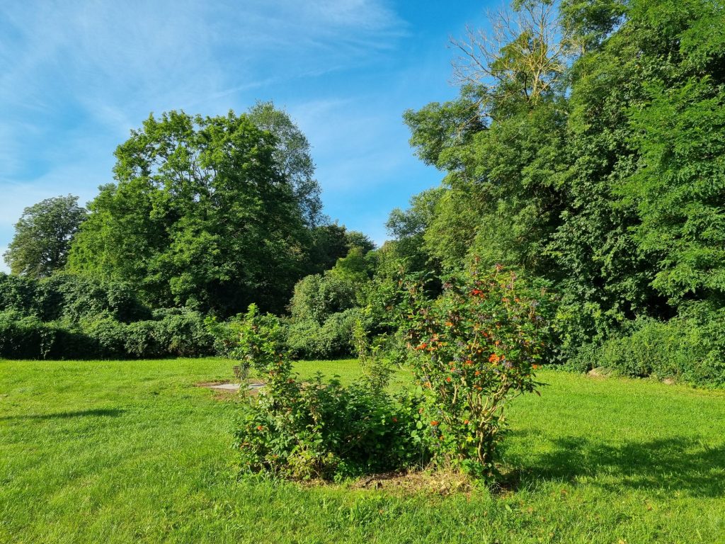 Blick von der Terrasse auf die Rondell-Bepflanzung im Garten. Im Vordergrund Gartentisch und -stühle.