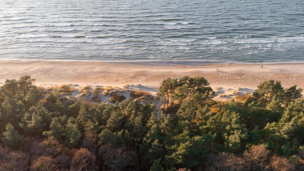 Küstenwald und Sandstrand bei Zinnowitz auf der Insel Usedom